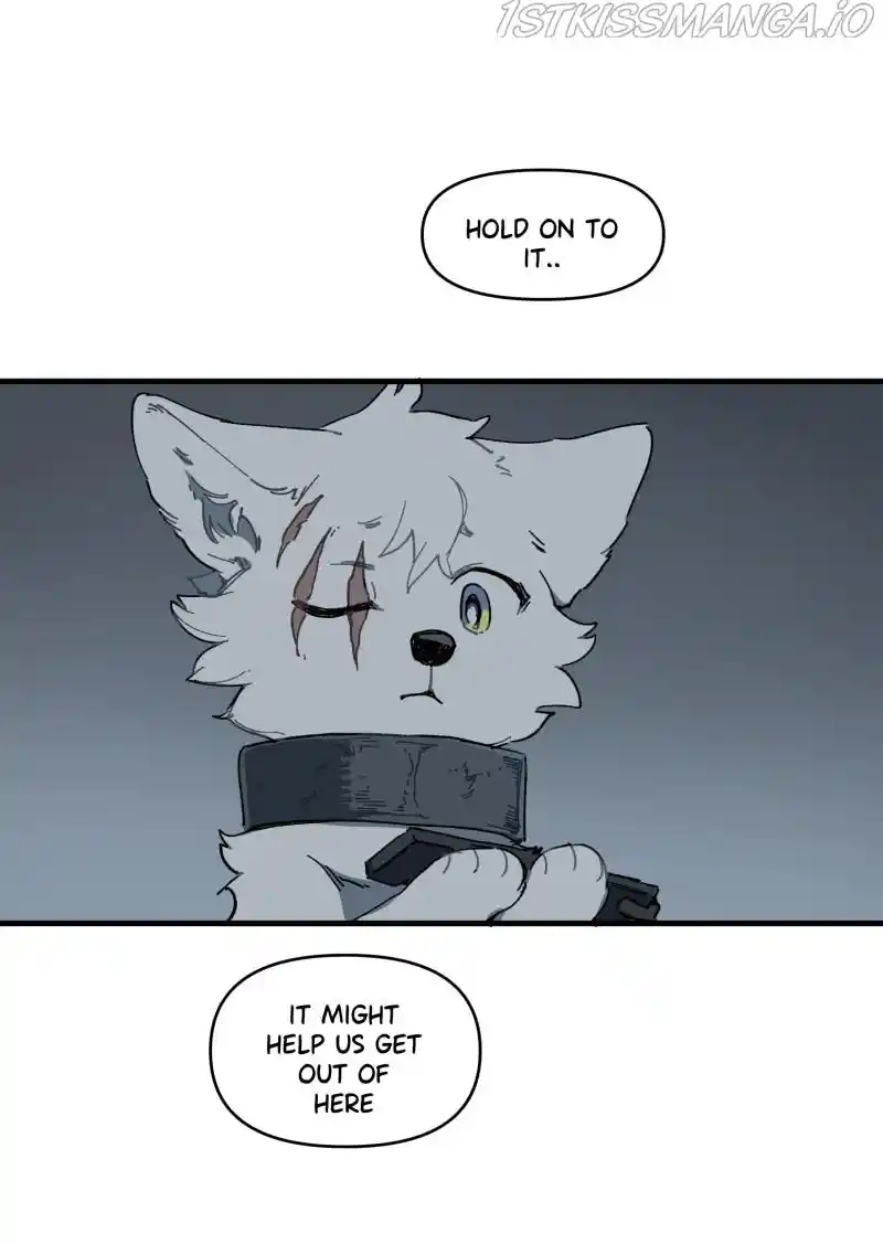 Read LUMINE Manga Online