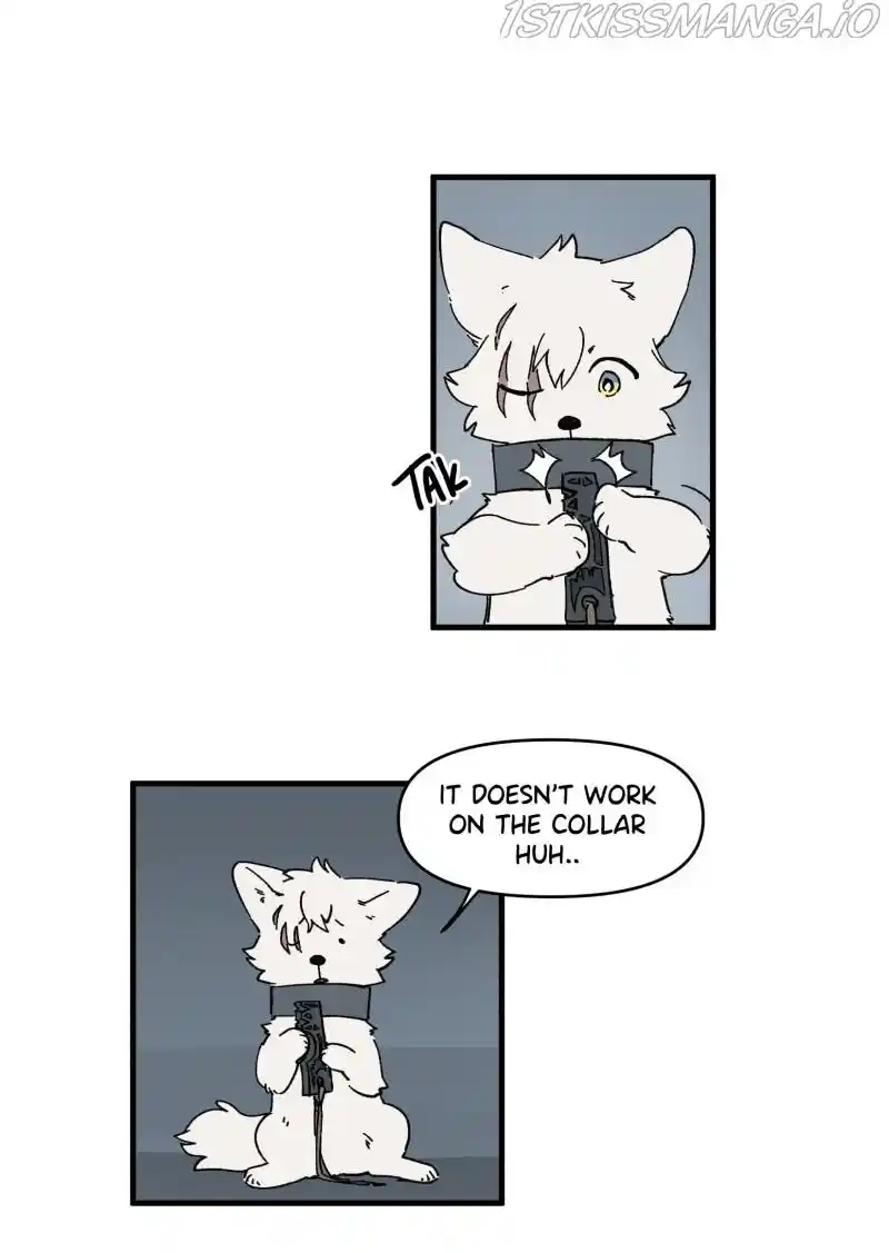 Read LUMINE Manga Online