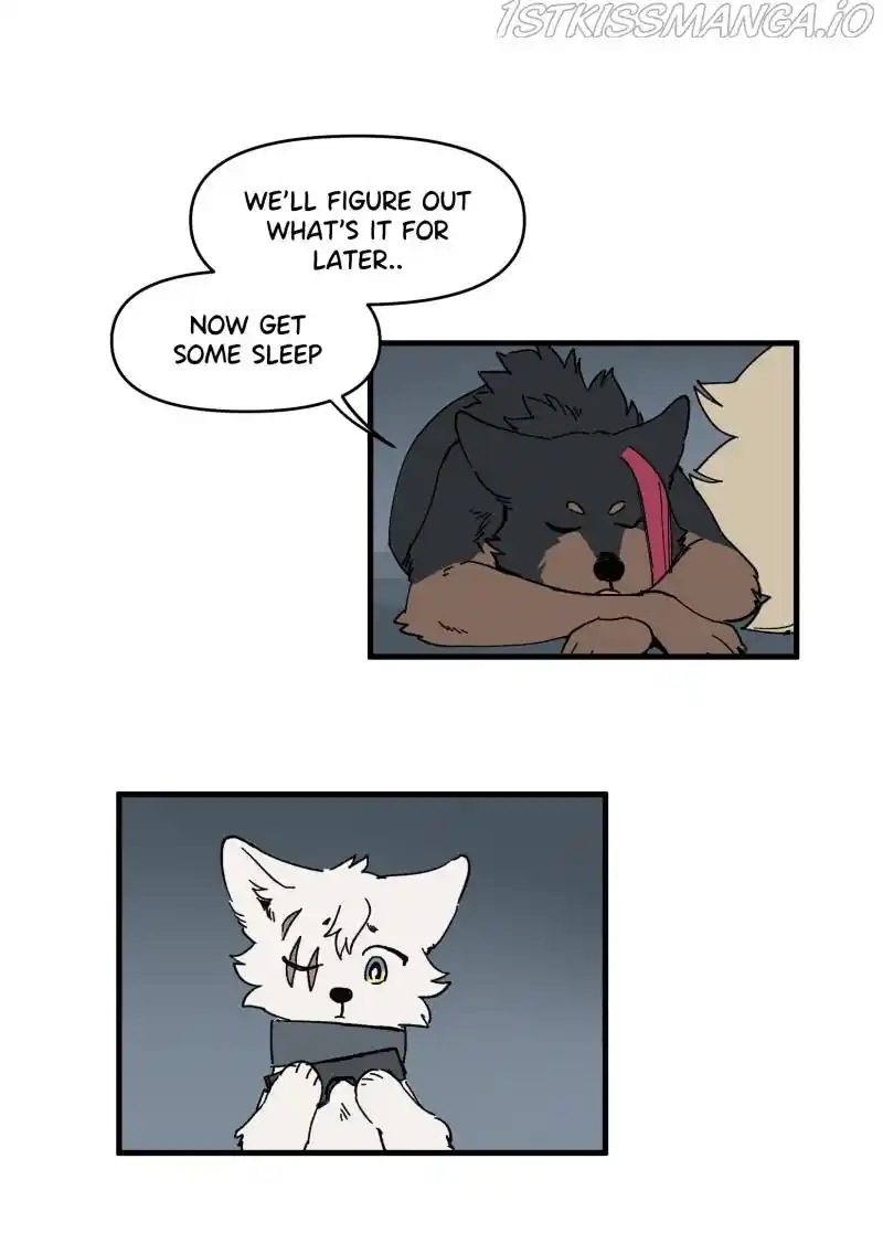 Read LUMINE Manga Online