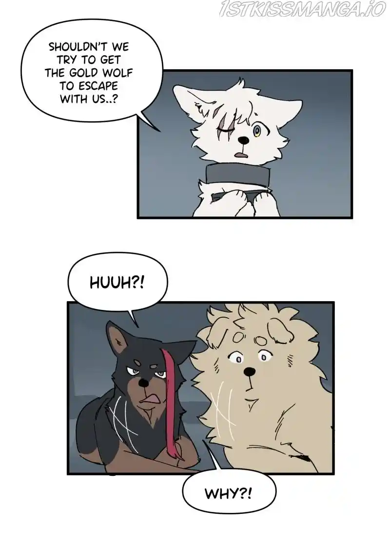 Read LUMINE Manga Online