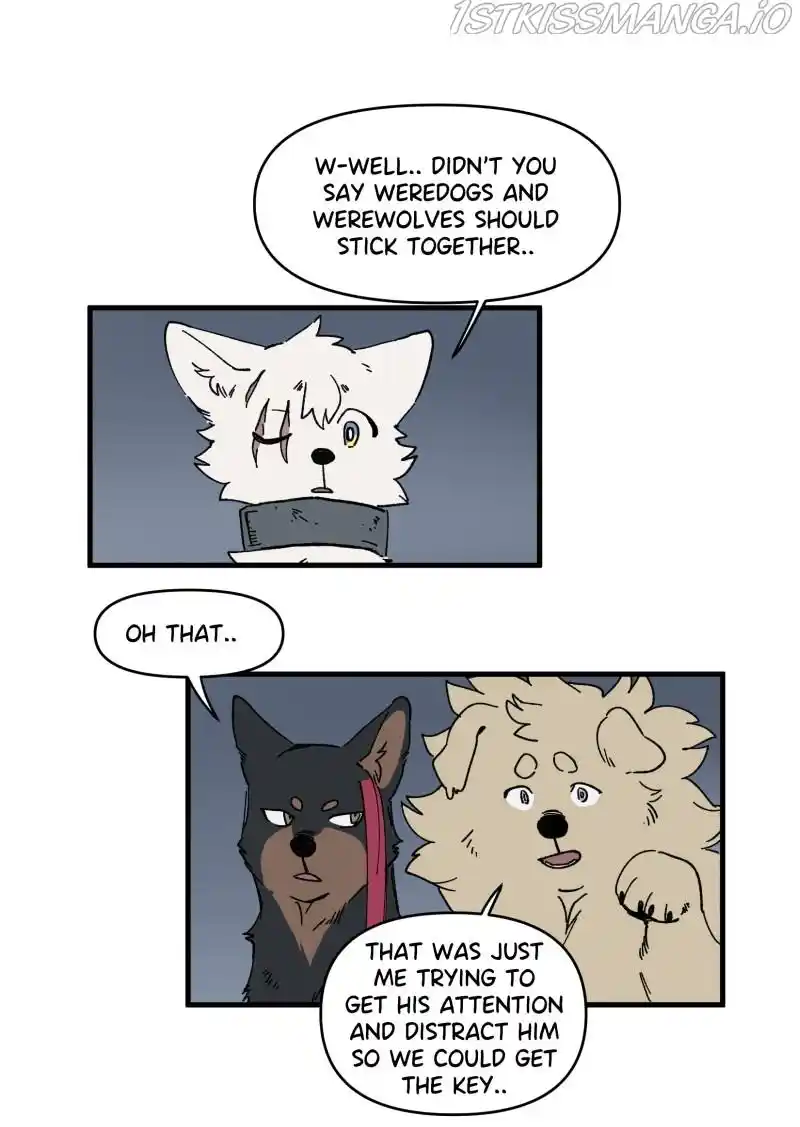 Read LUMINE Manga Online