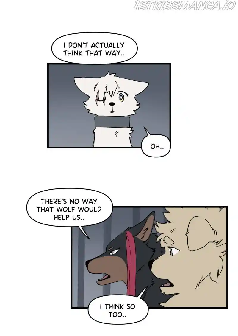 Read LUMINE Manga Online