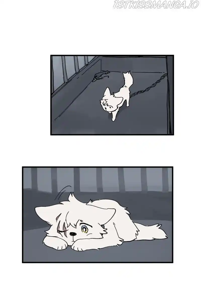 Read LUMINE Manga Online