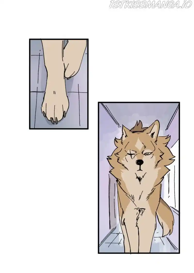 Read LUMINE Manga Online