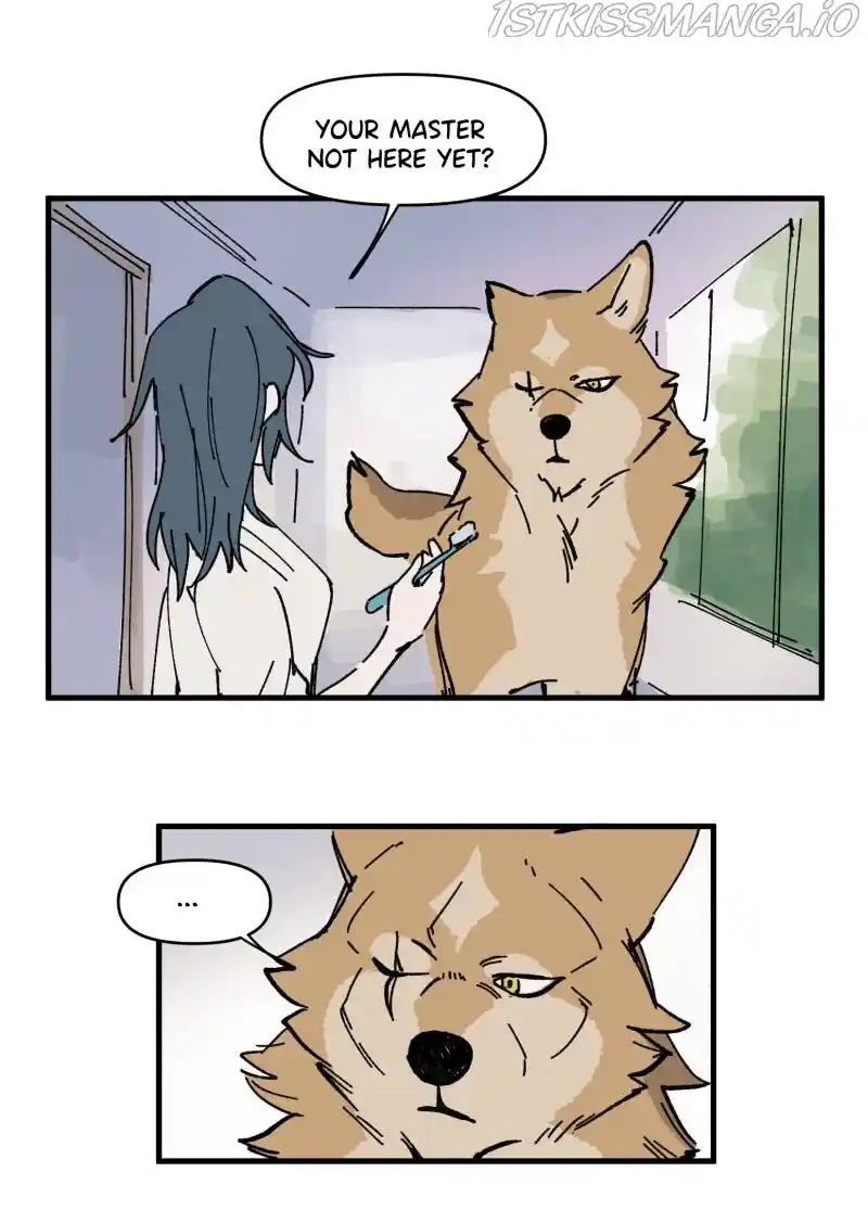 Read LUMINE Manga Online