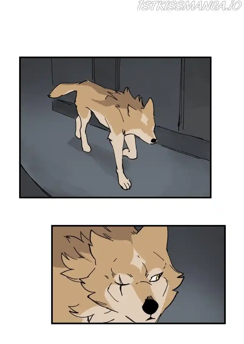 Read LUMINE Manga Online