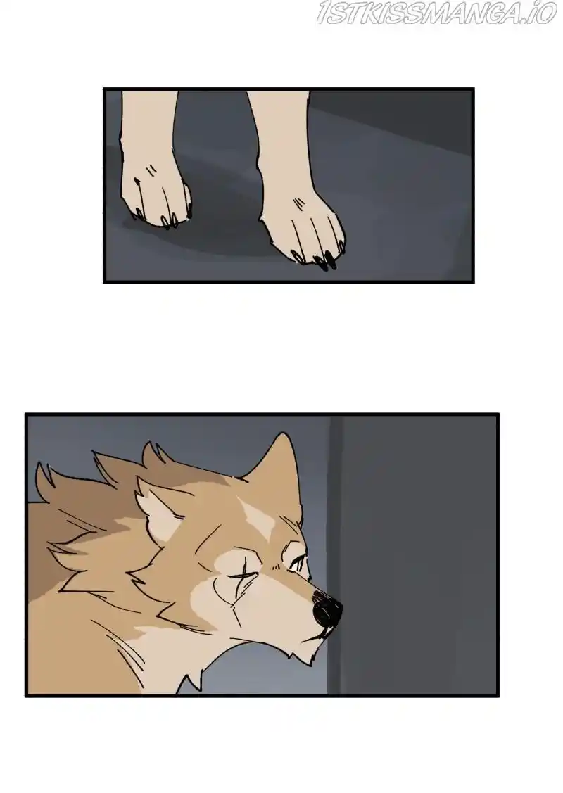 Read LUMINE Manga Online