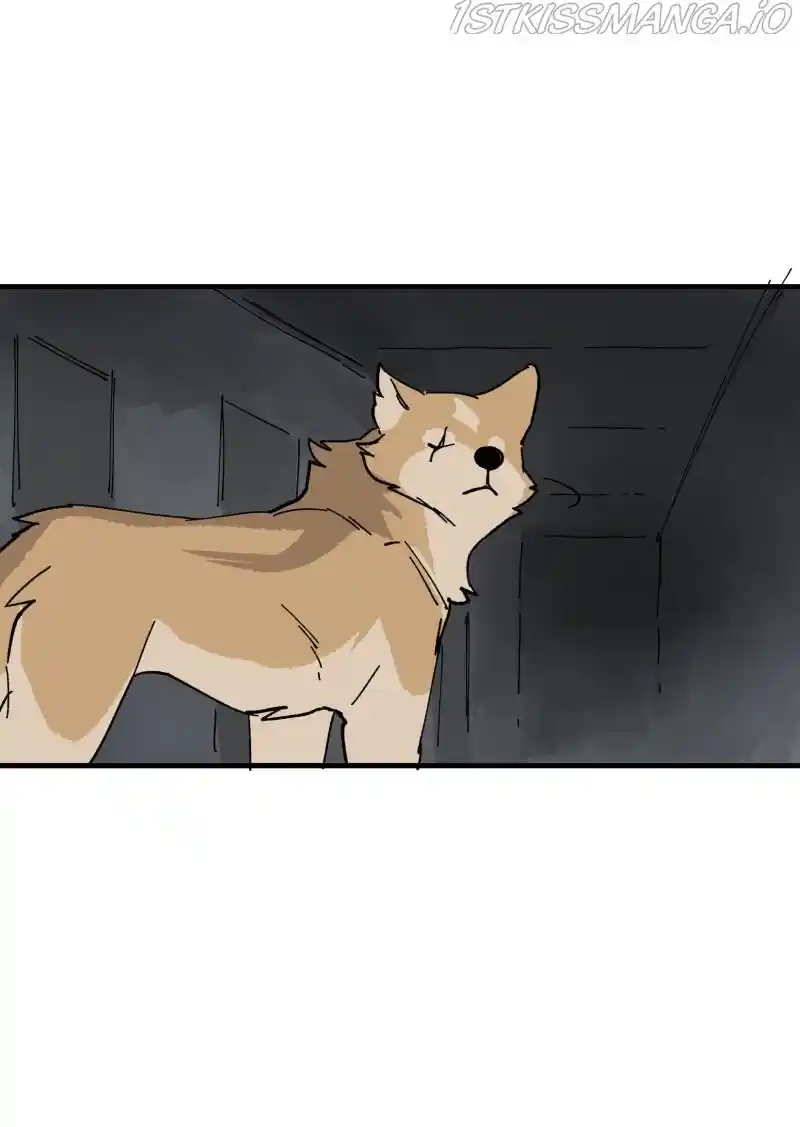 Read LUMINE Manga Online