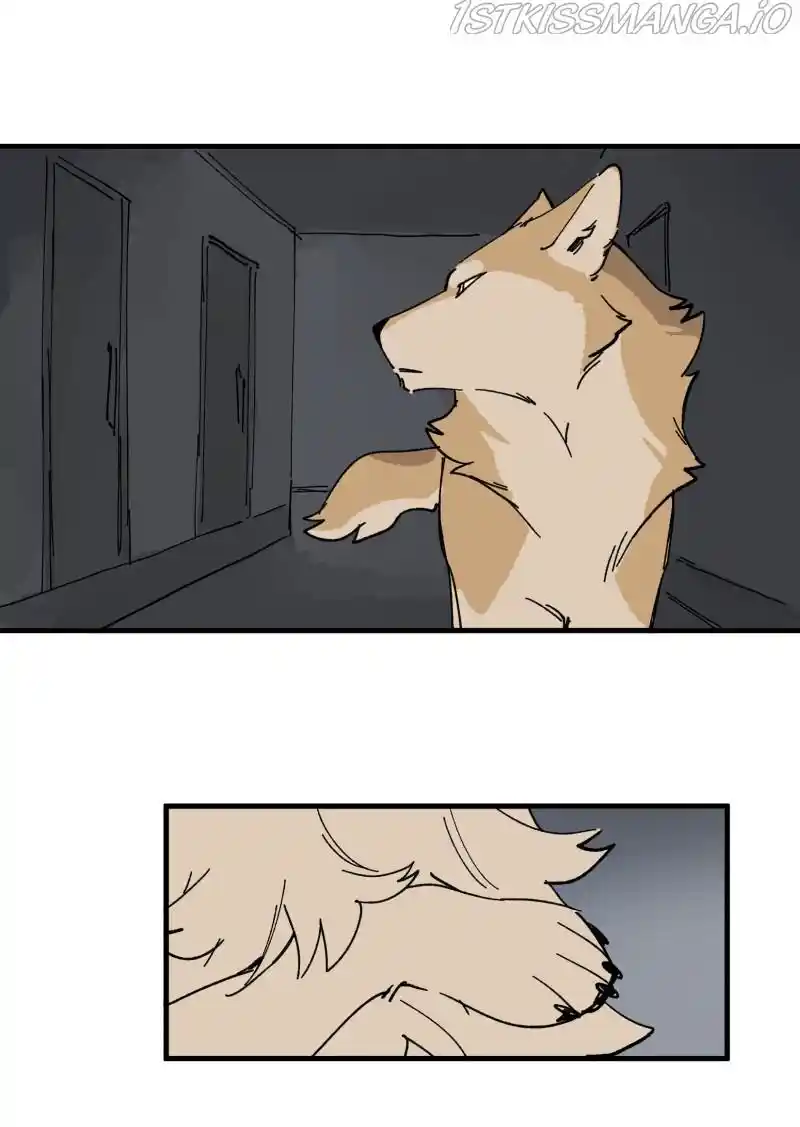 Read LUMINE Manga Online