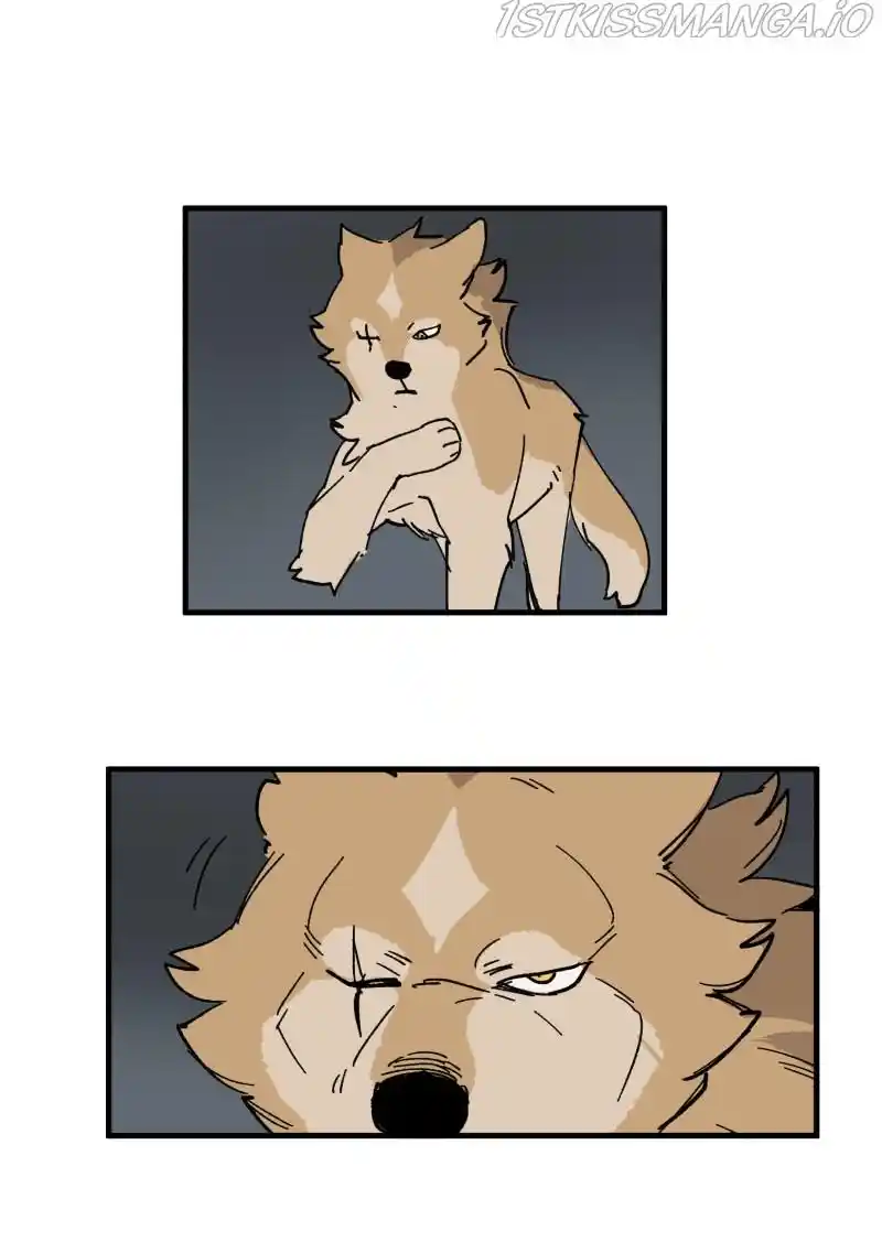 Read LUMINE Manga Online