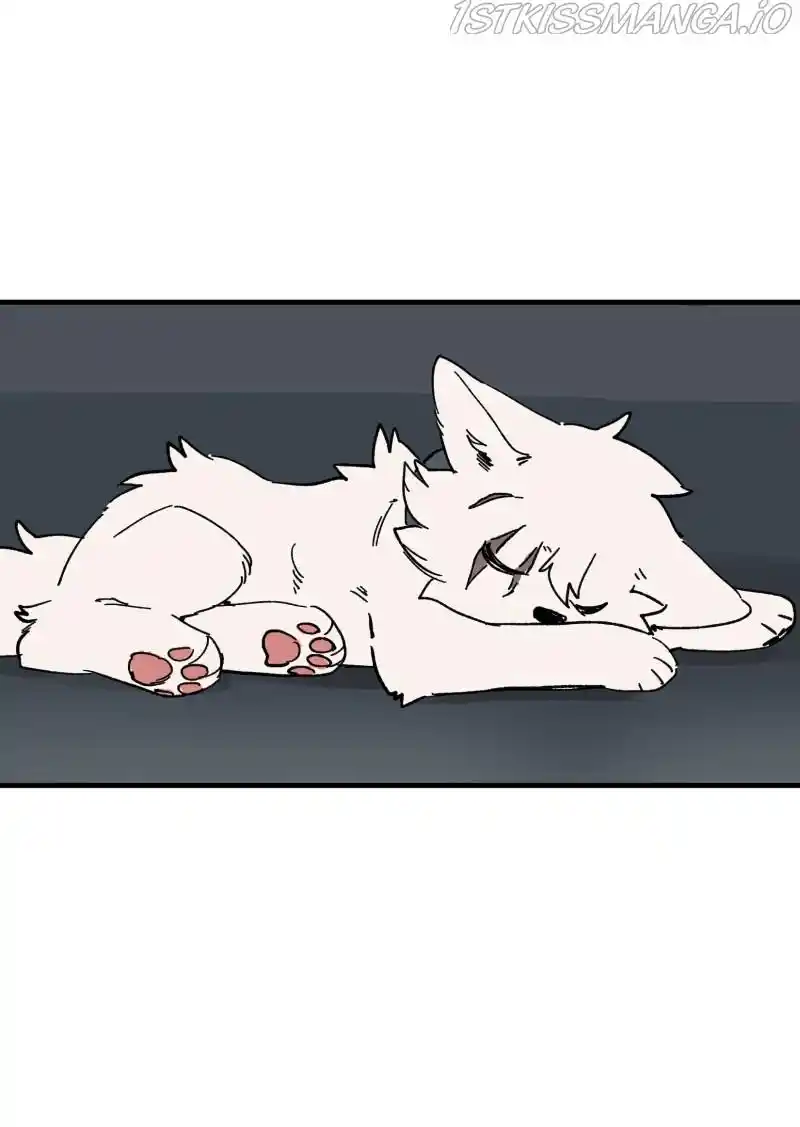 Read LUMINE Manga Online