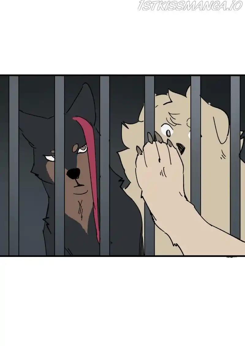 Read LUMINE Manga Online