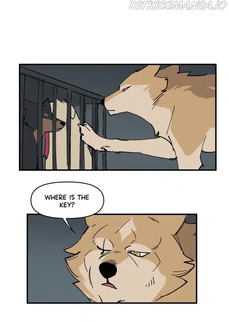 Read LUMINE Manga Online