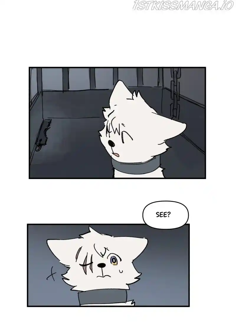 Read LUMINE Manga Online