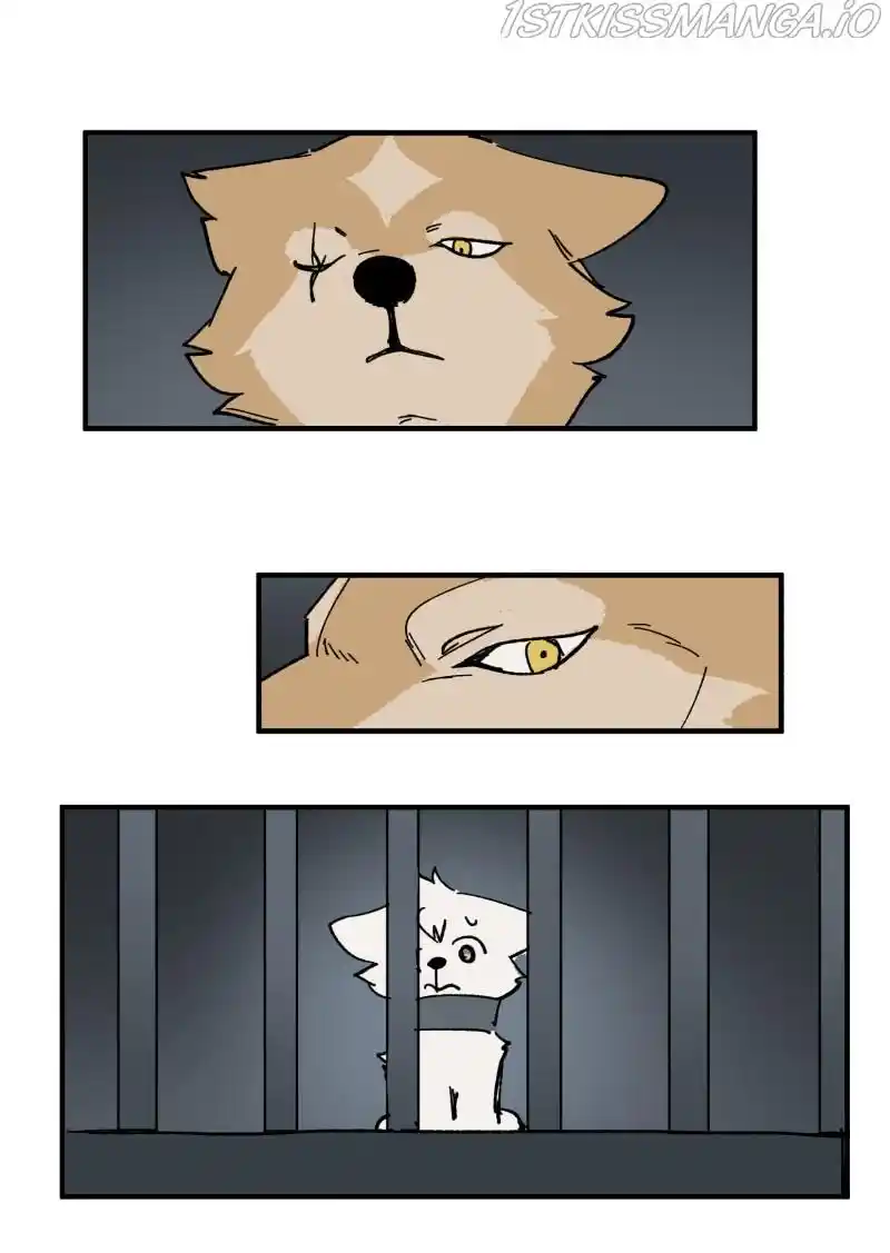 Read LUMINE Manga Online