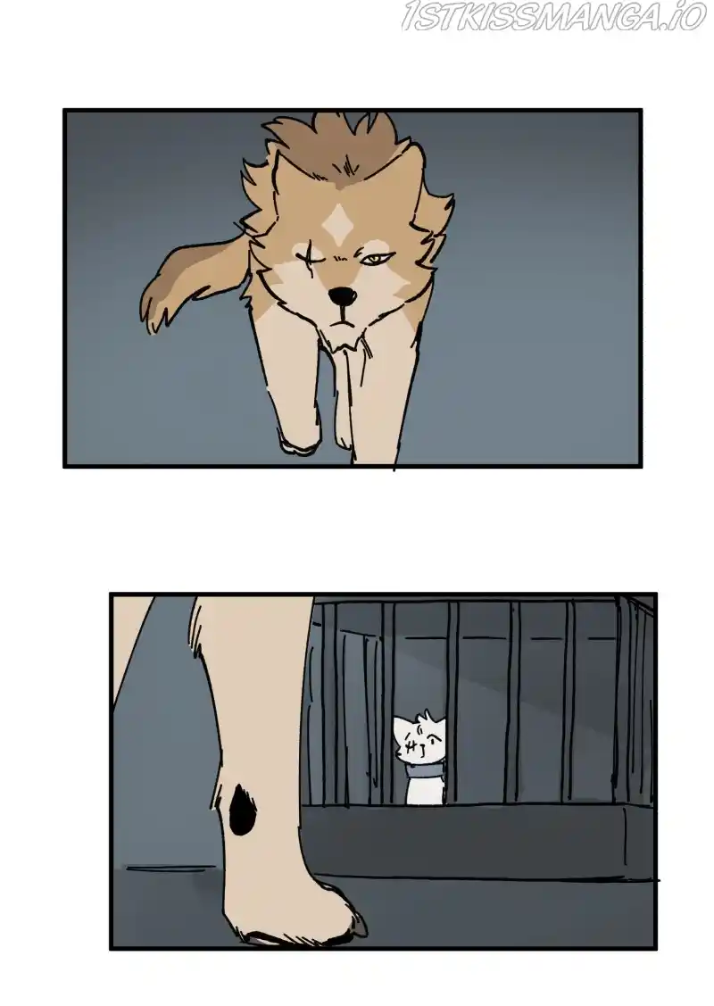 Read LUMINE Manga Online