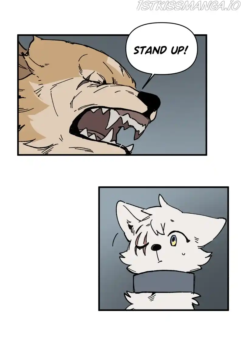 Read LUMINE Manga Online