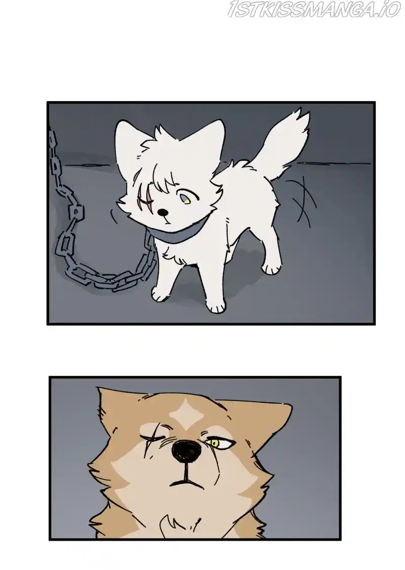 Read LUMINE Manga Online