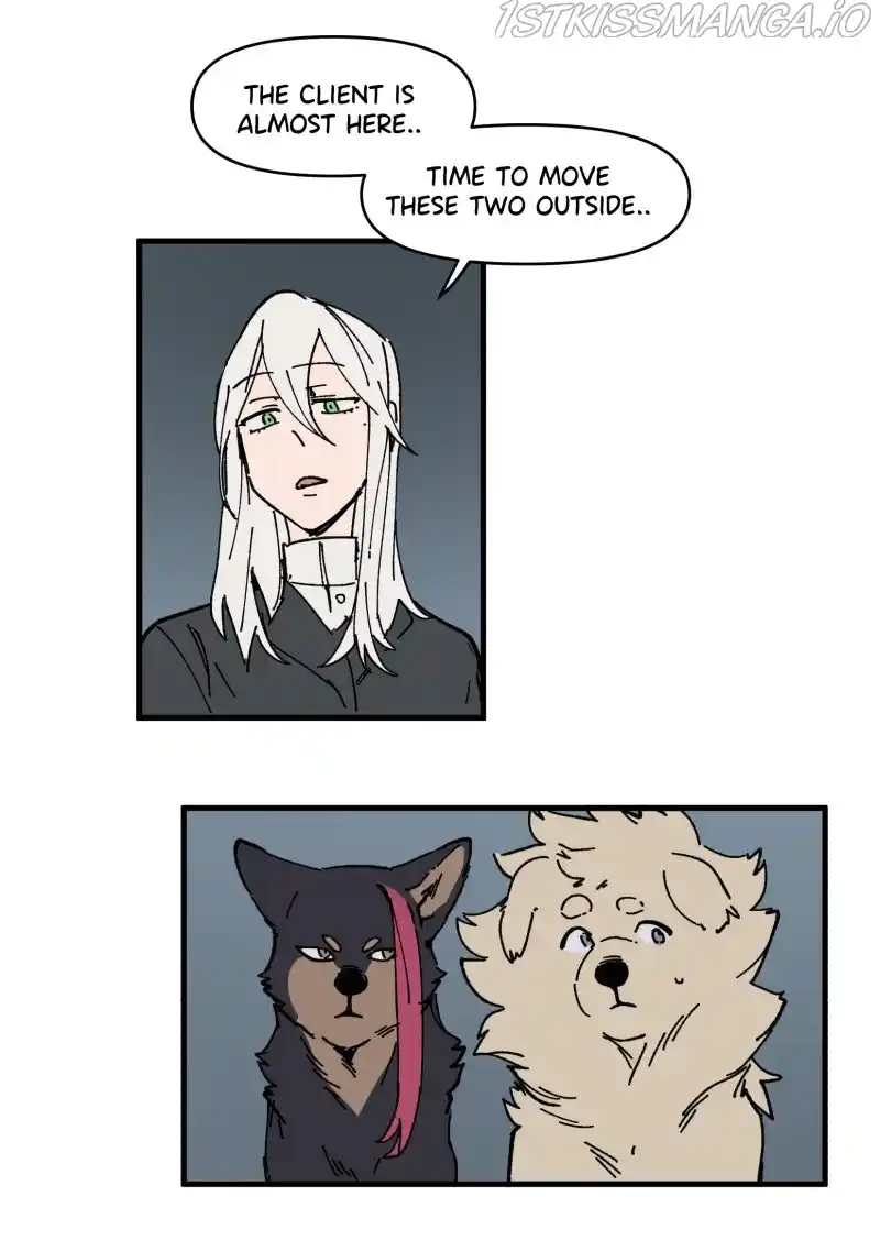 Read LUMINE Manga Online