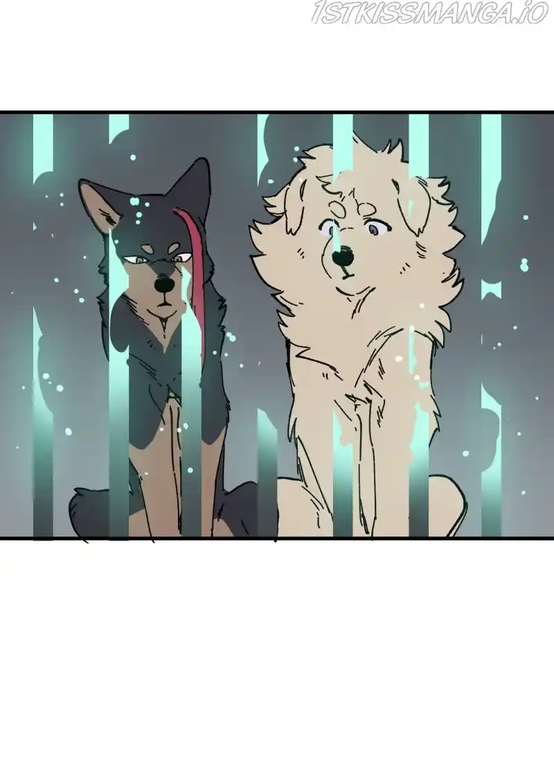 Read LUMINE Manga Online