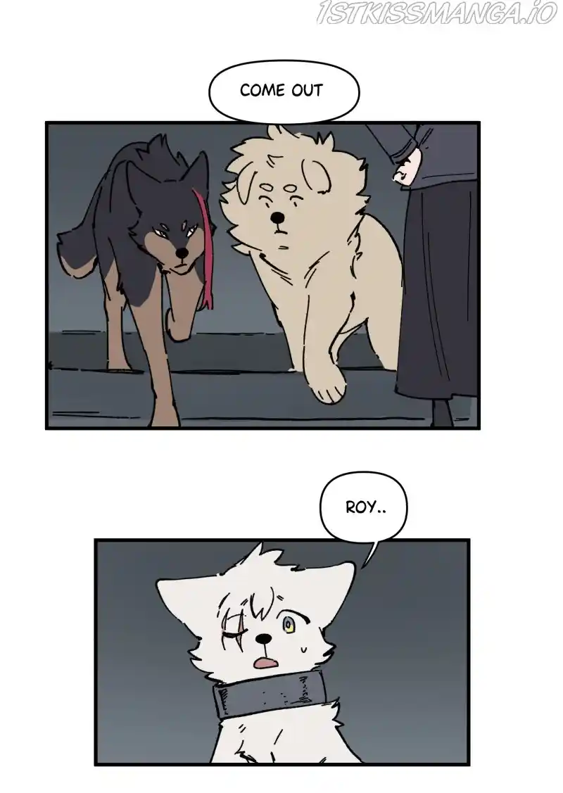 Read LUMINE Manga Online