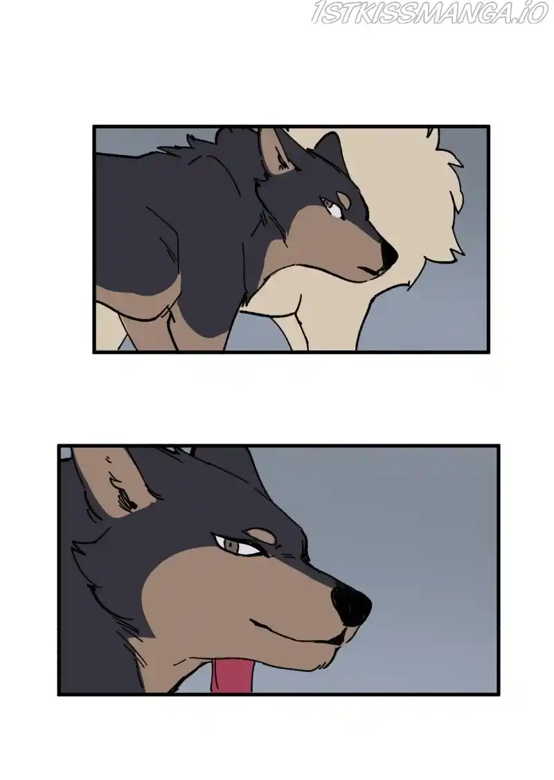 Read LUMINE Manga Online