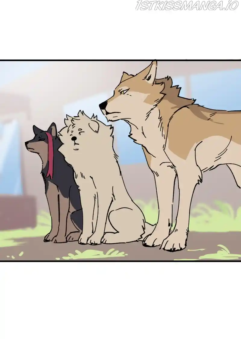 Read LUMINE Manga Online