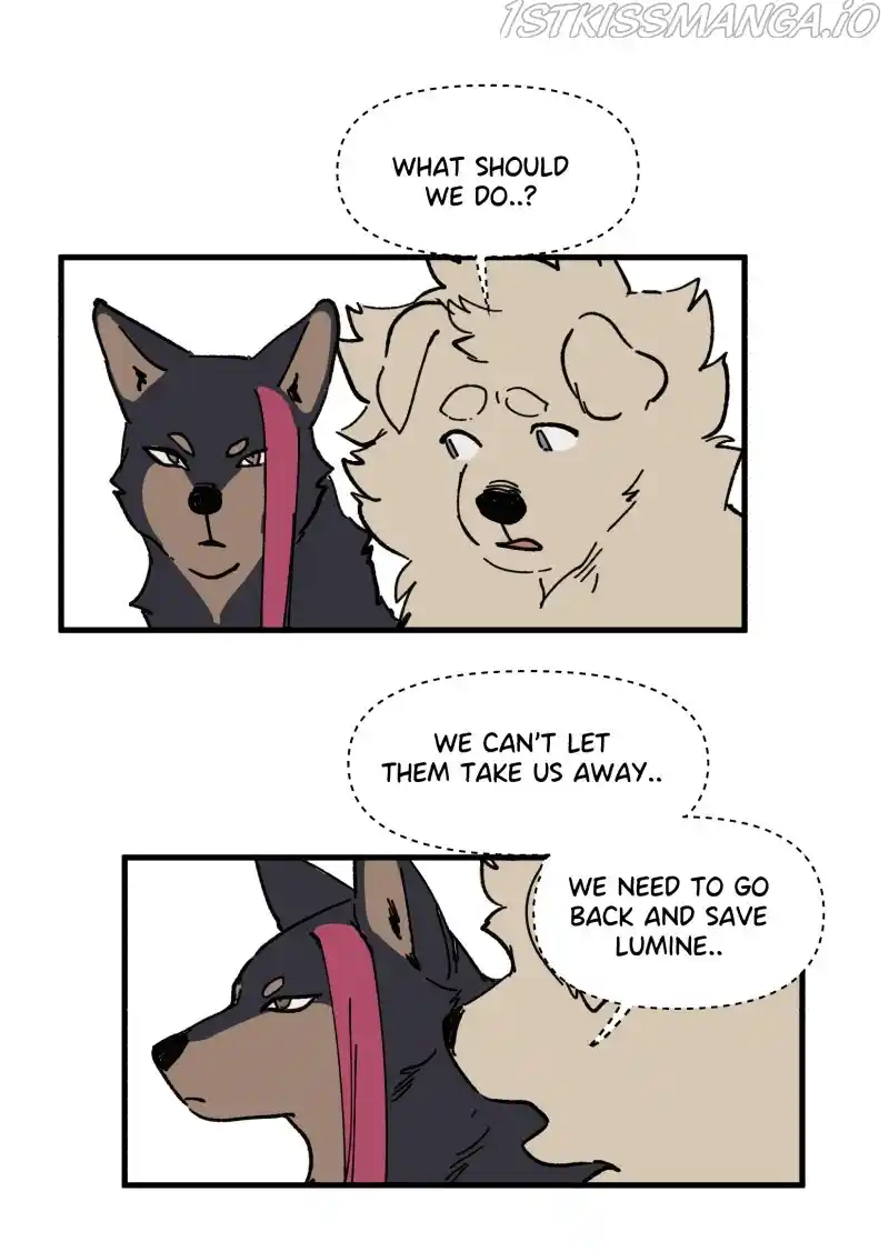 Read LUMINE Manga Online