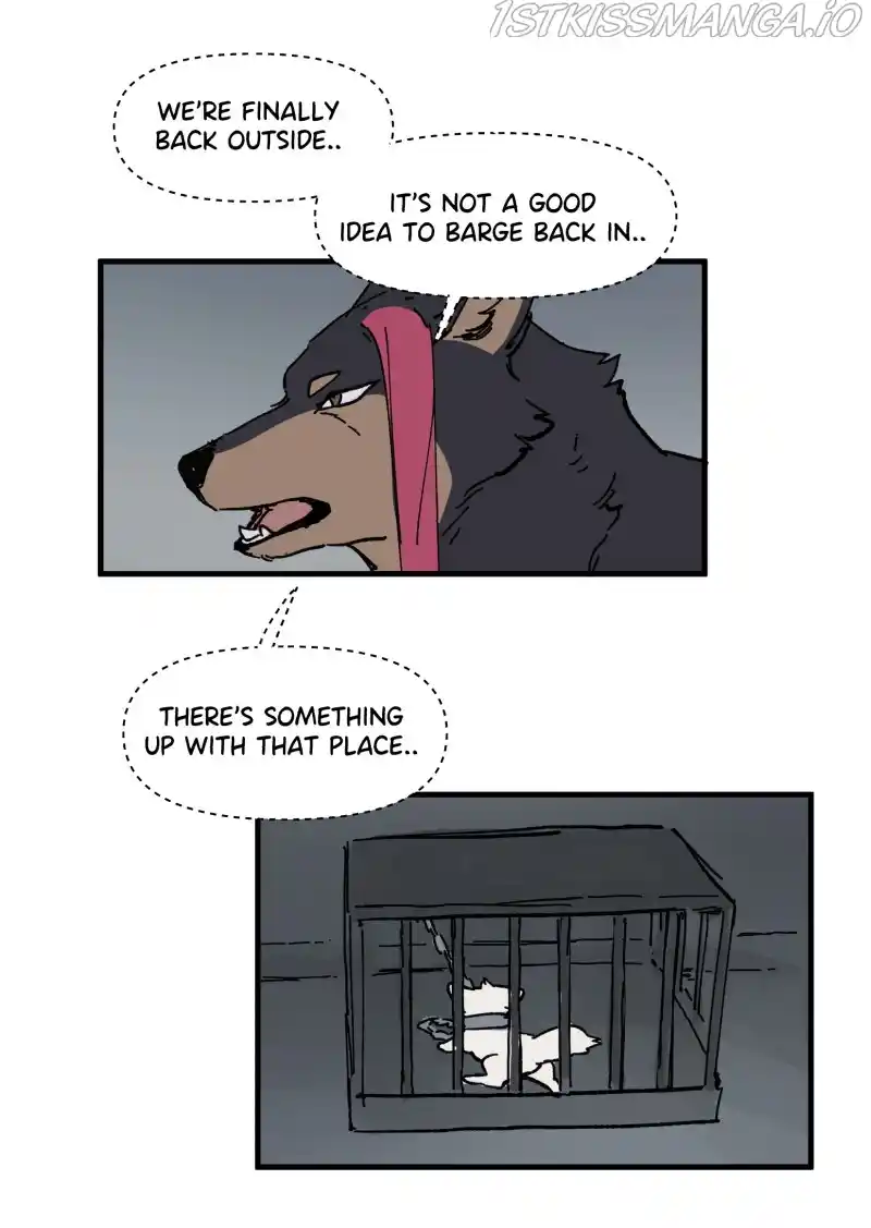 Read LUMINE Manga Online