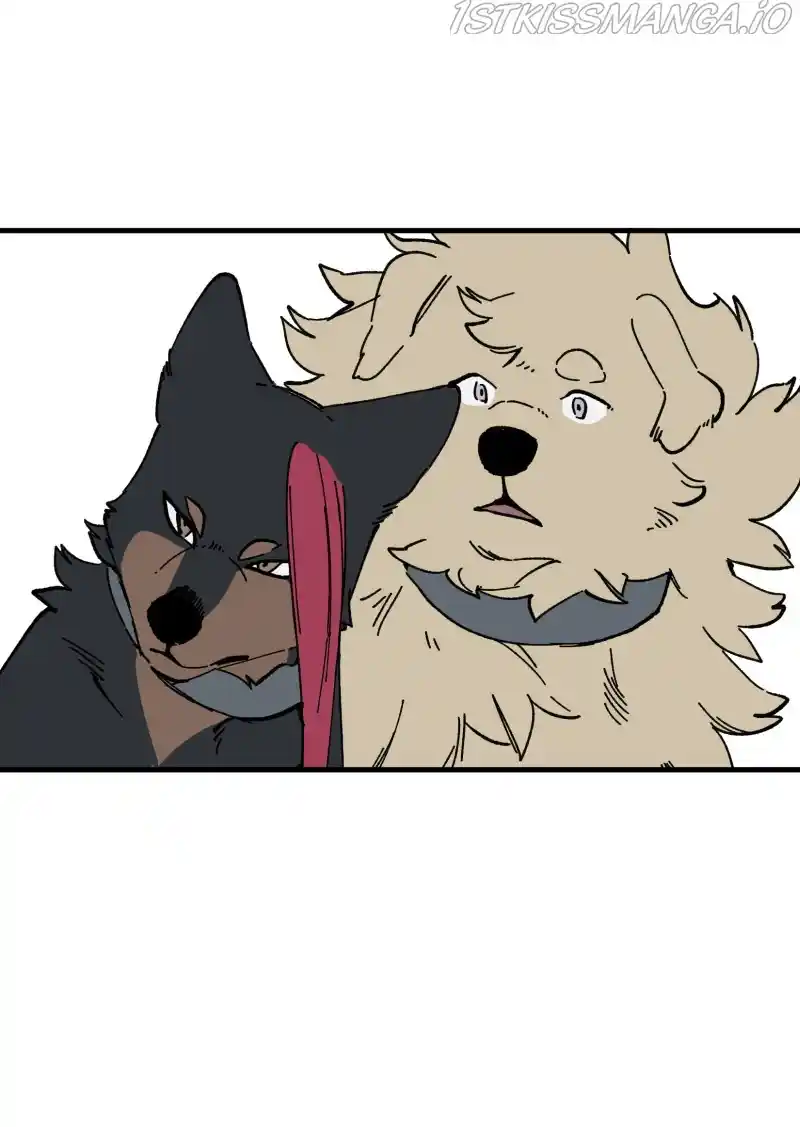 Read LUMINE Manga Online