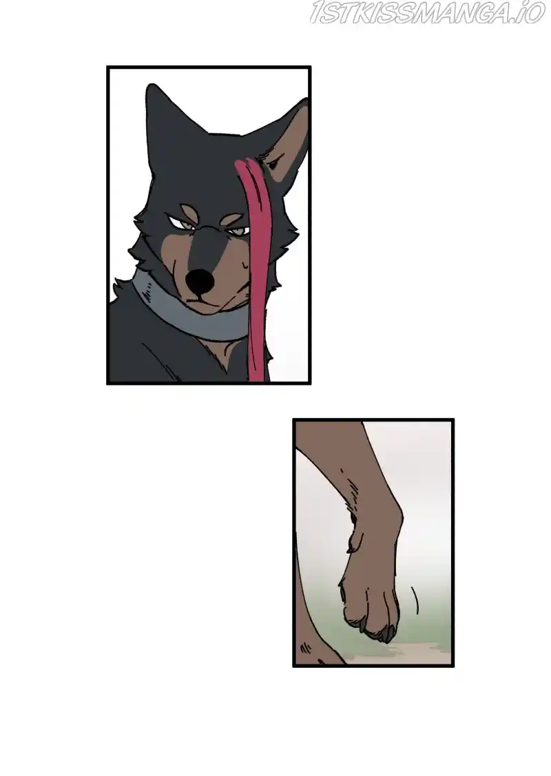 Read LUMINE Manga Online