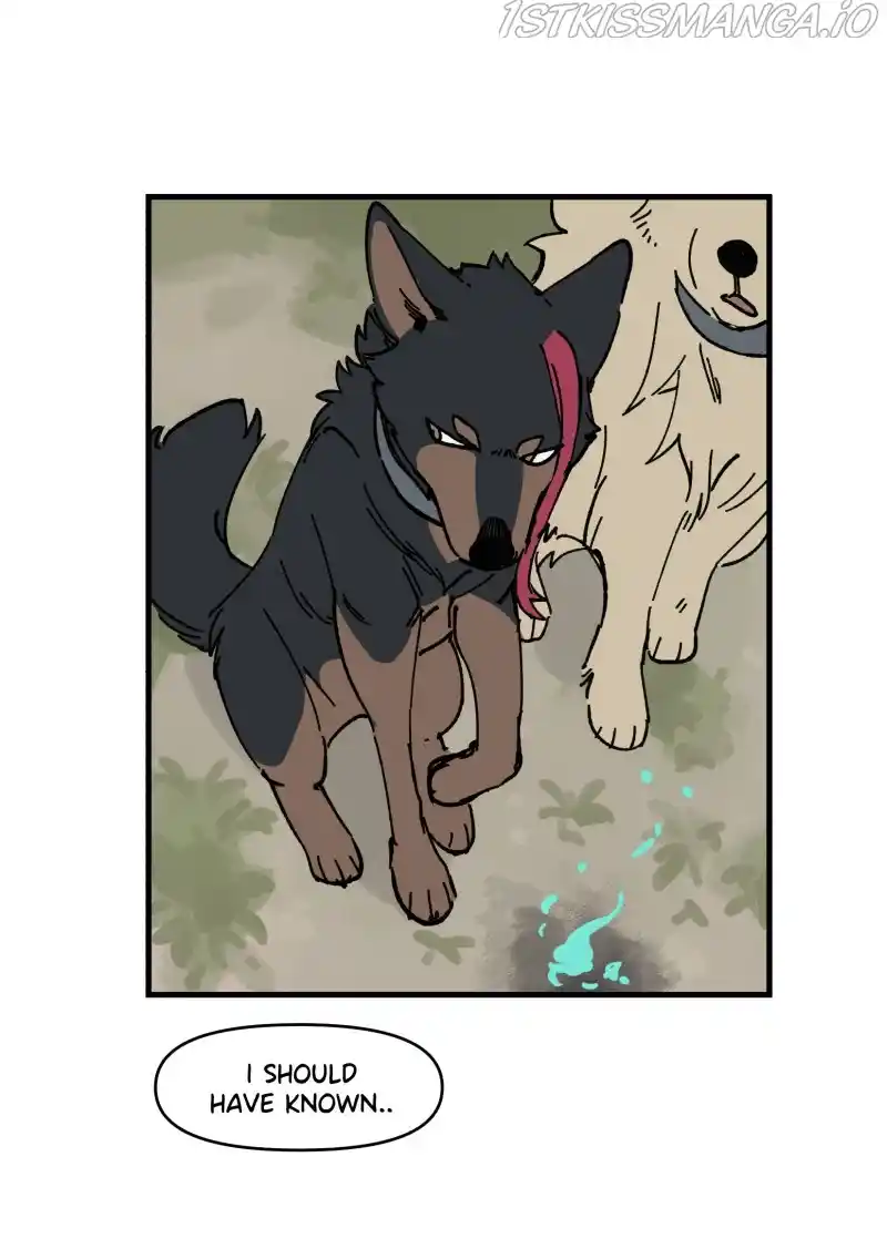 Read LUMINE Manga Online