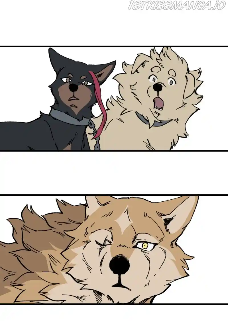 Read LUMINE Manga Online