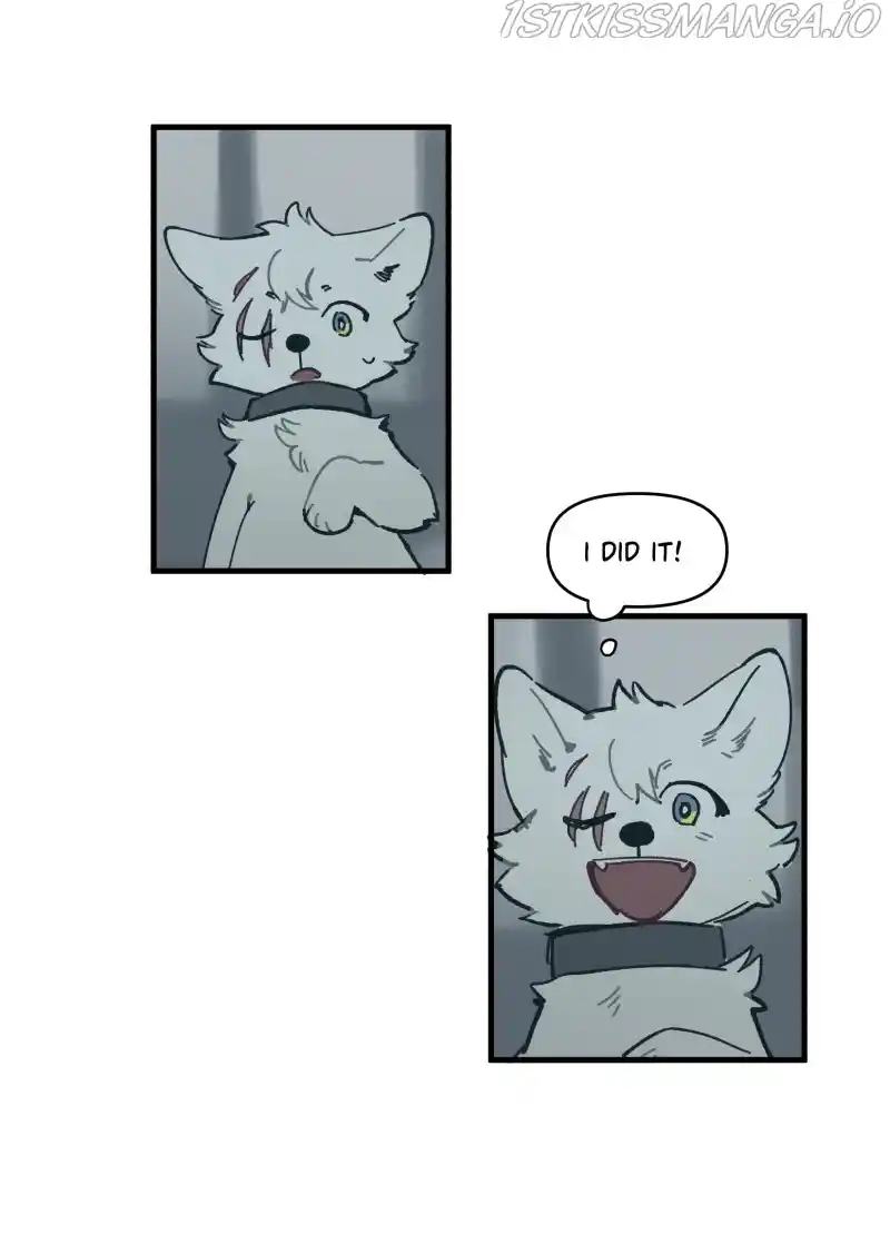 Read LUMINE Manga Online