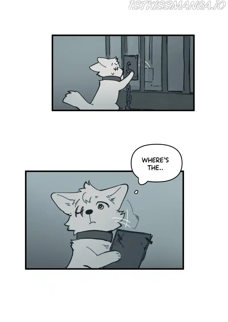 Read LUMINE Manga Online