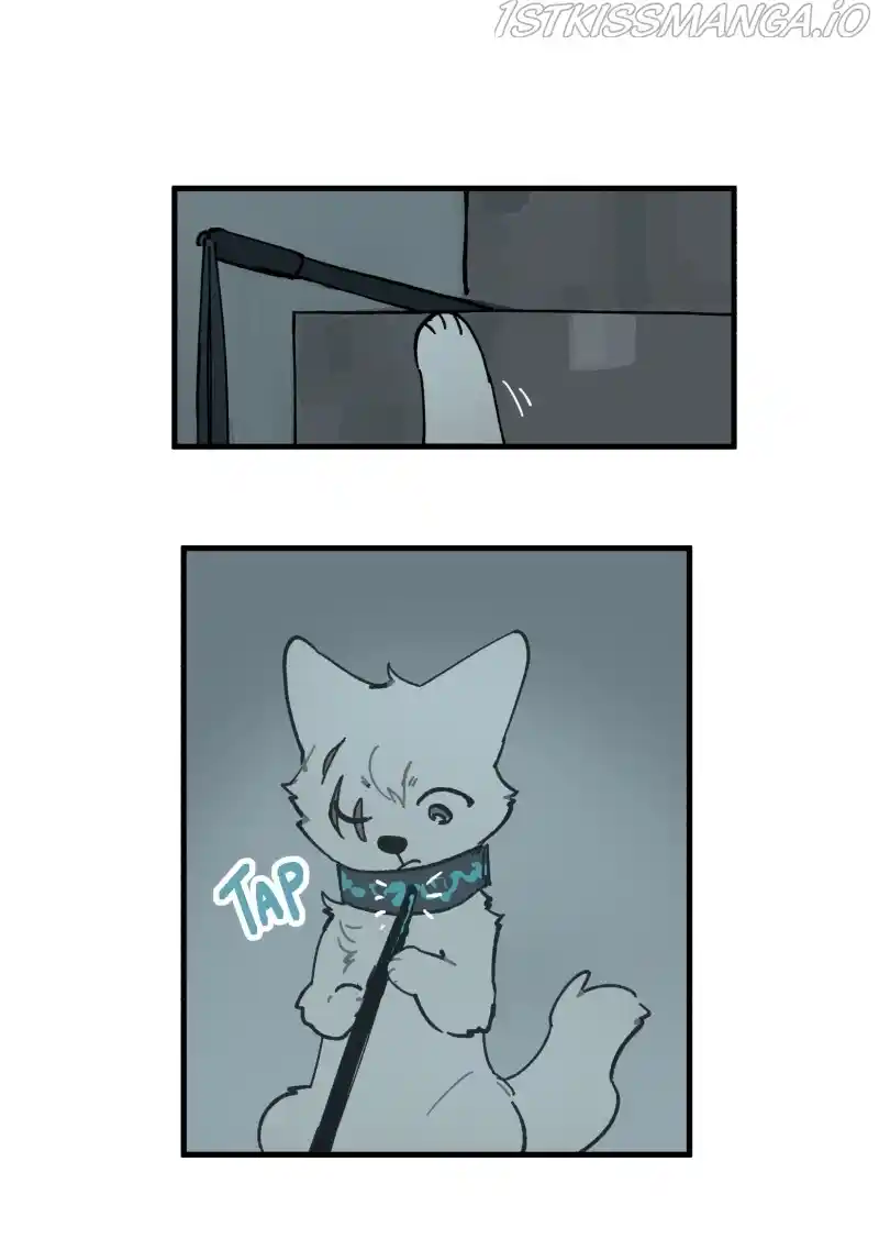 Read LUMINE Manga Online