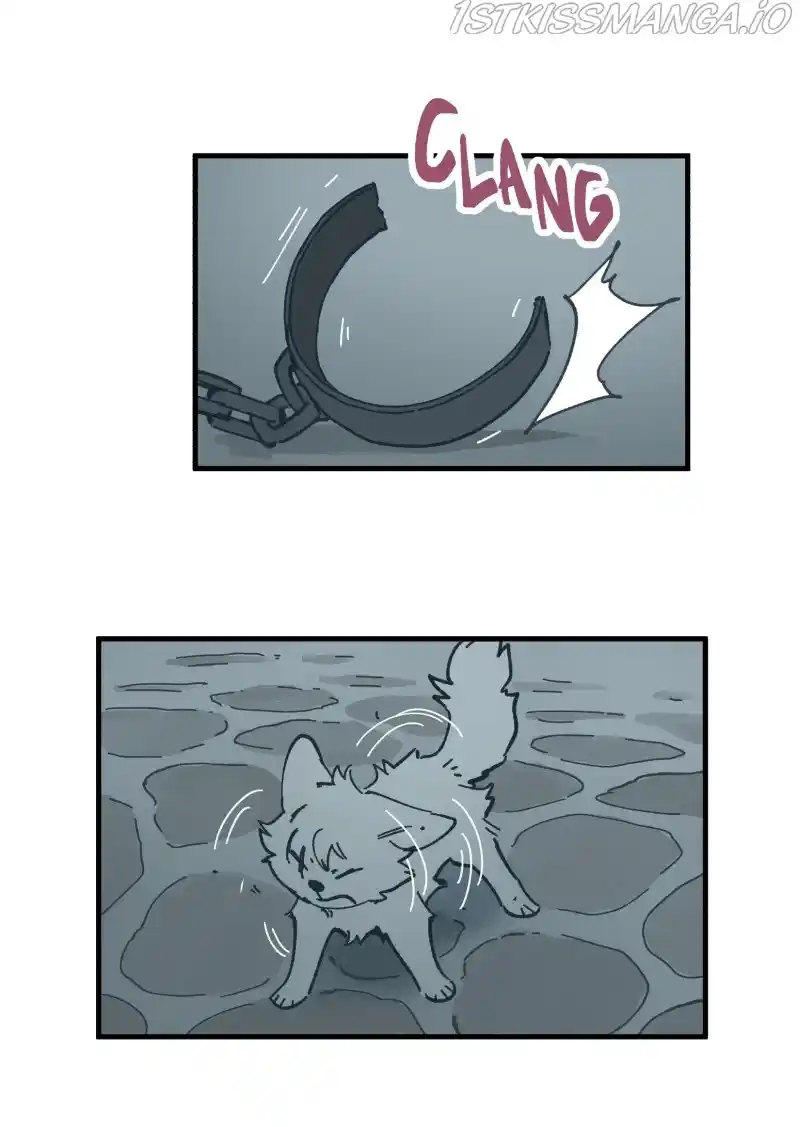 Read LUMINE Manga Online