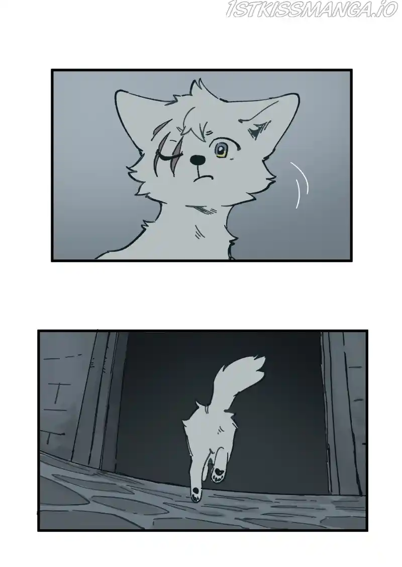 Read LUMINE Manga Online