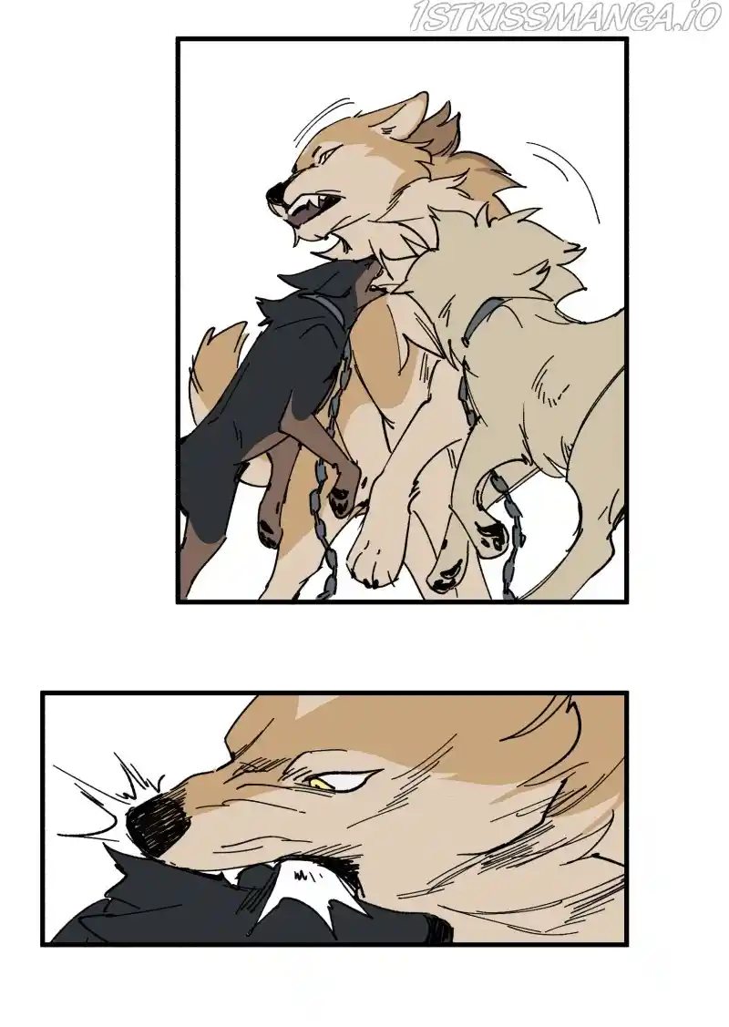 Read LUMINE Manga Online