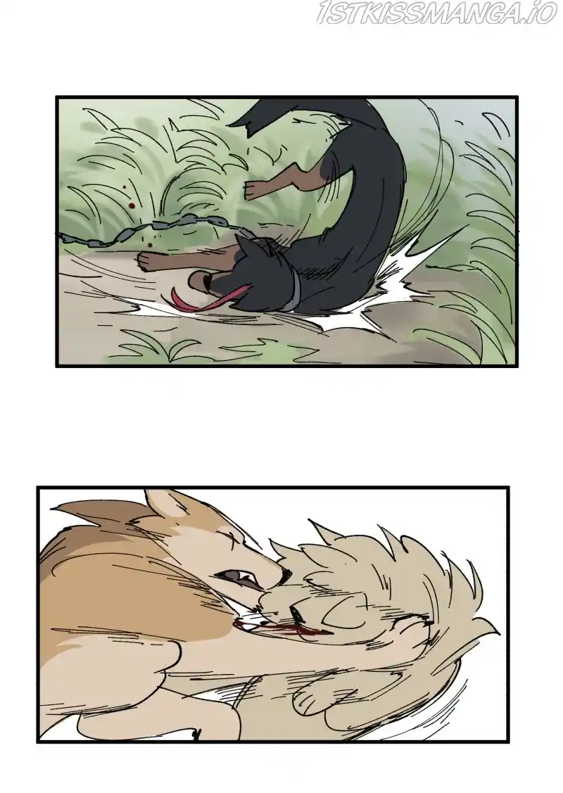 Read LUMINE Manga Online