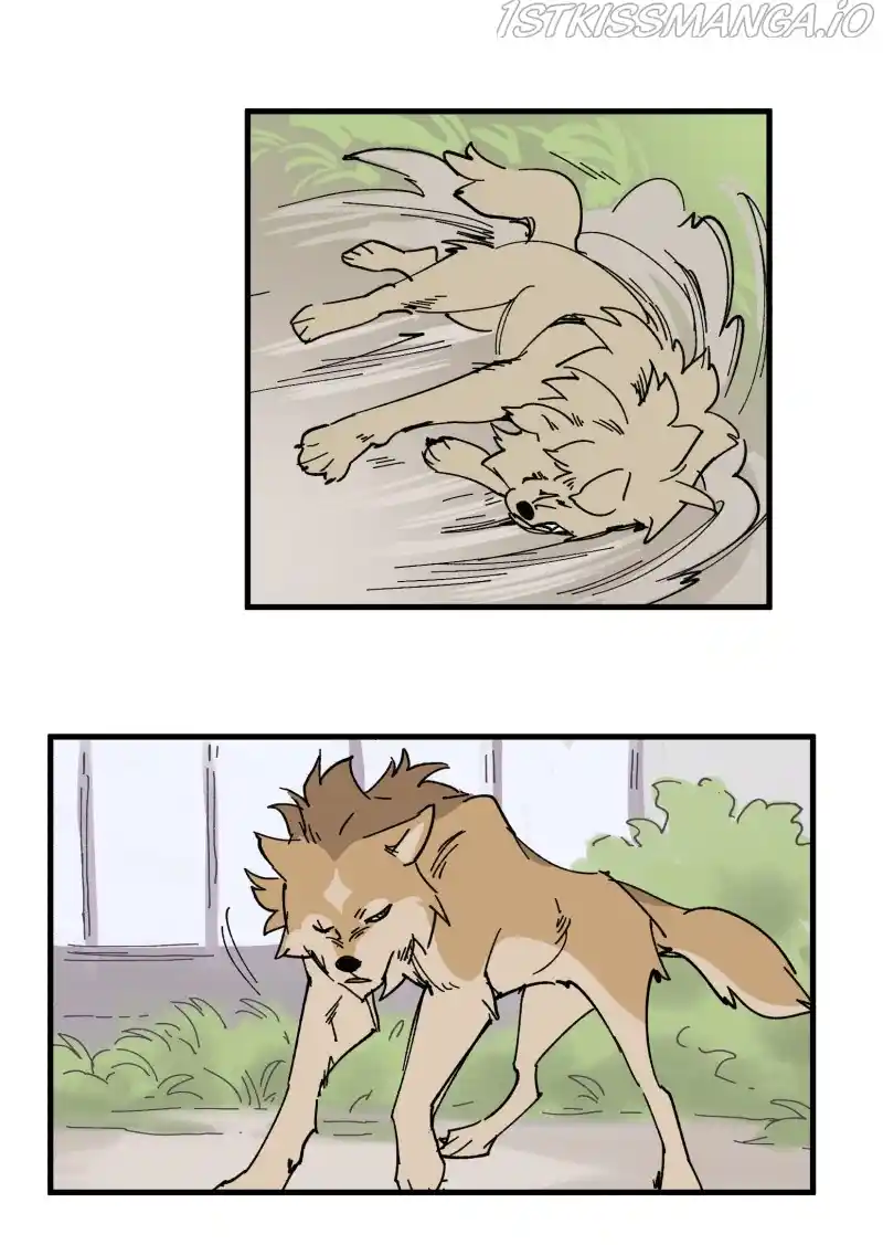 Read LUMINE Manga Online