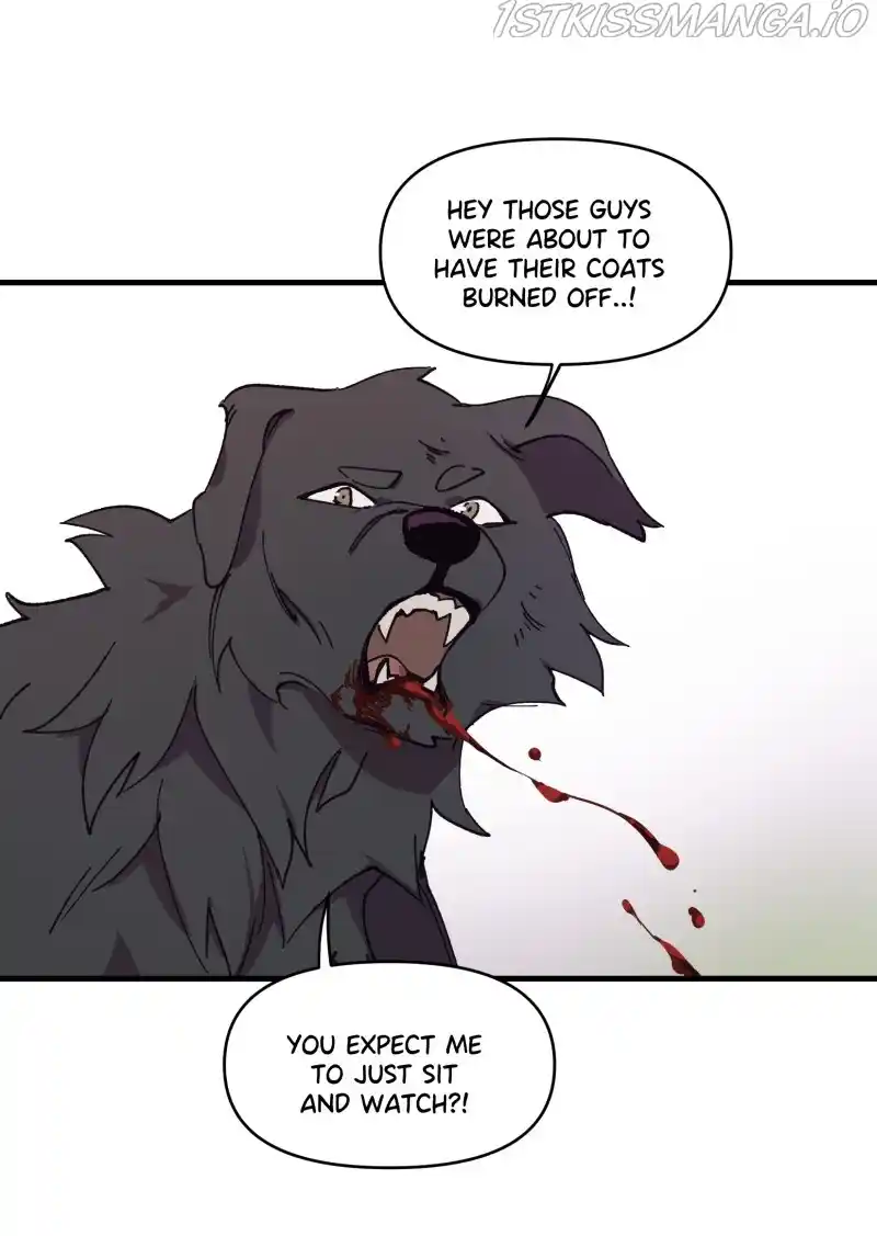 Read LUMINE Manga Online