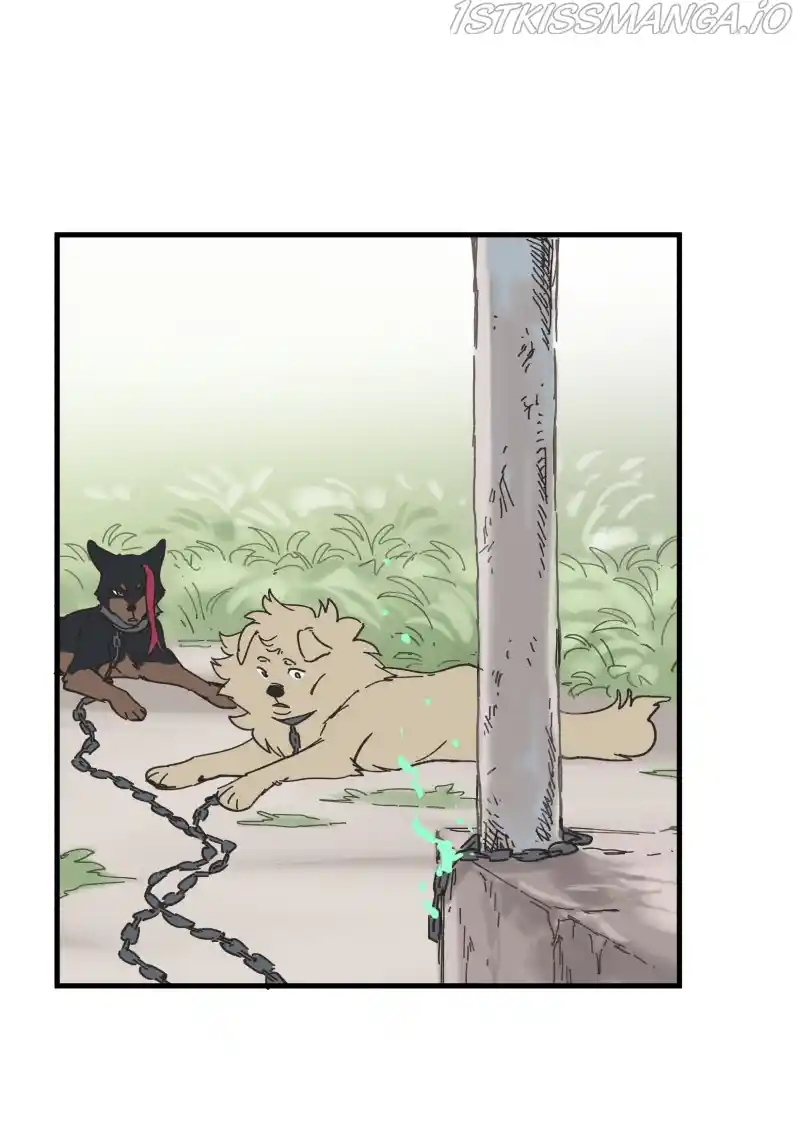 Read LUMINE Manga Online