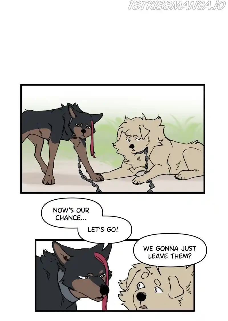 Read LUMINE Manga Online