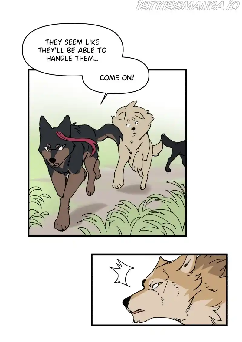 Read LUMINE Manga Online