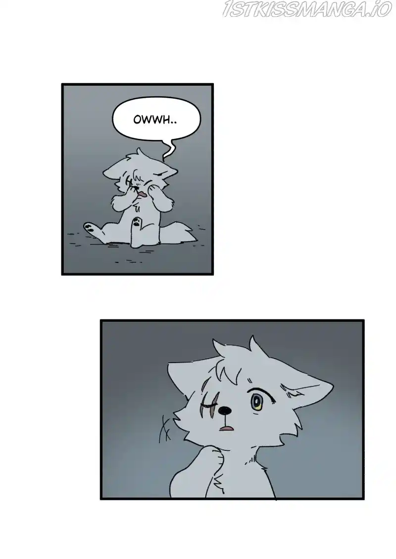 Read LUMINE Manga Online