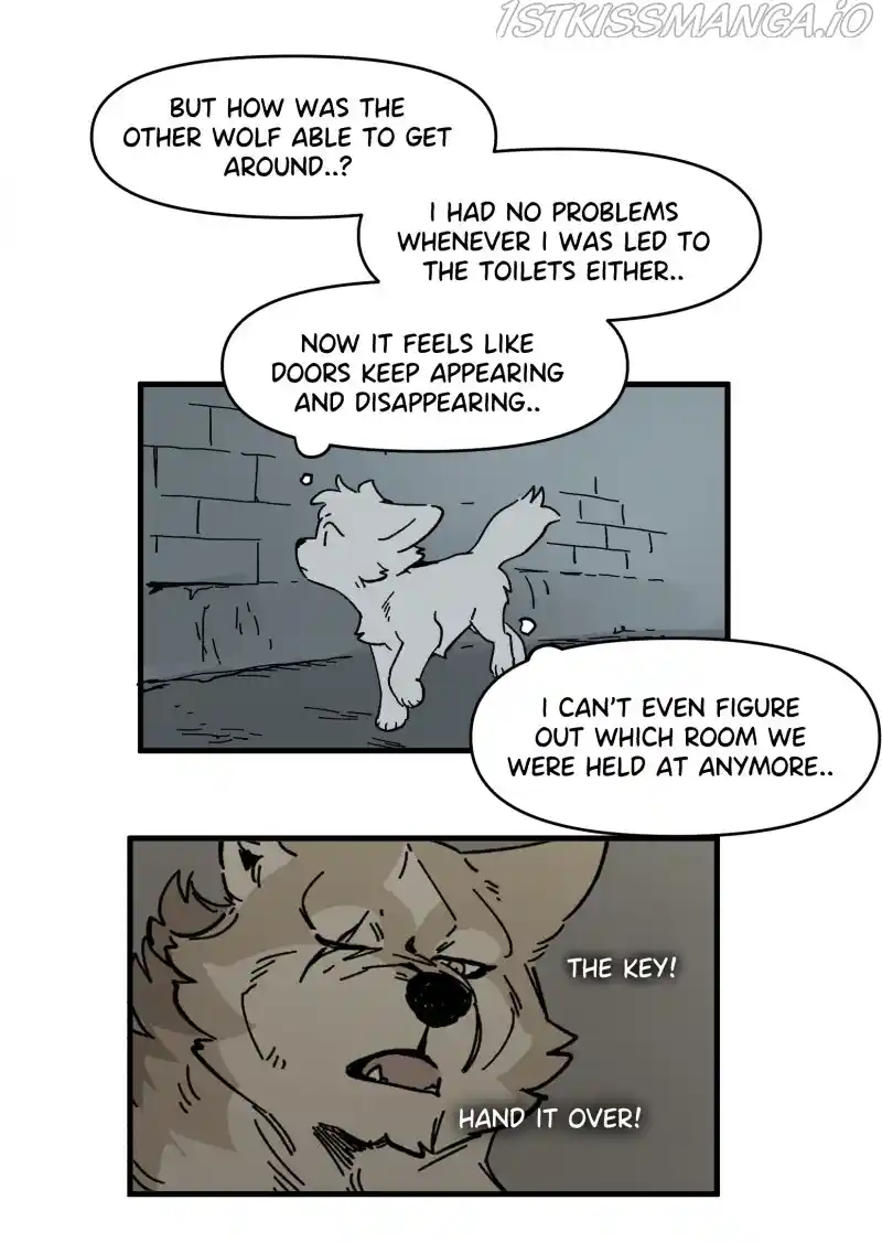 Read LUMINE Manga Online