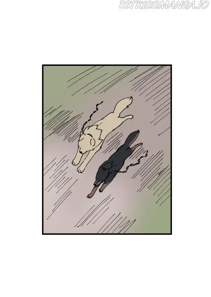 Read LUMINE Manga Online