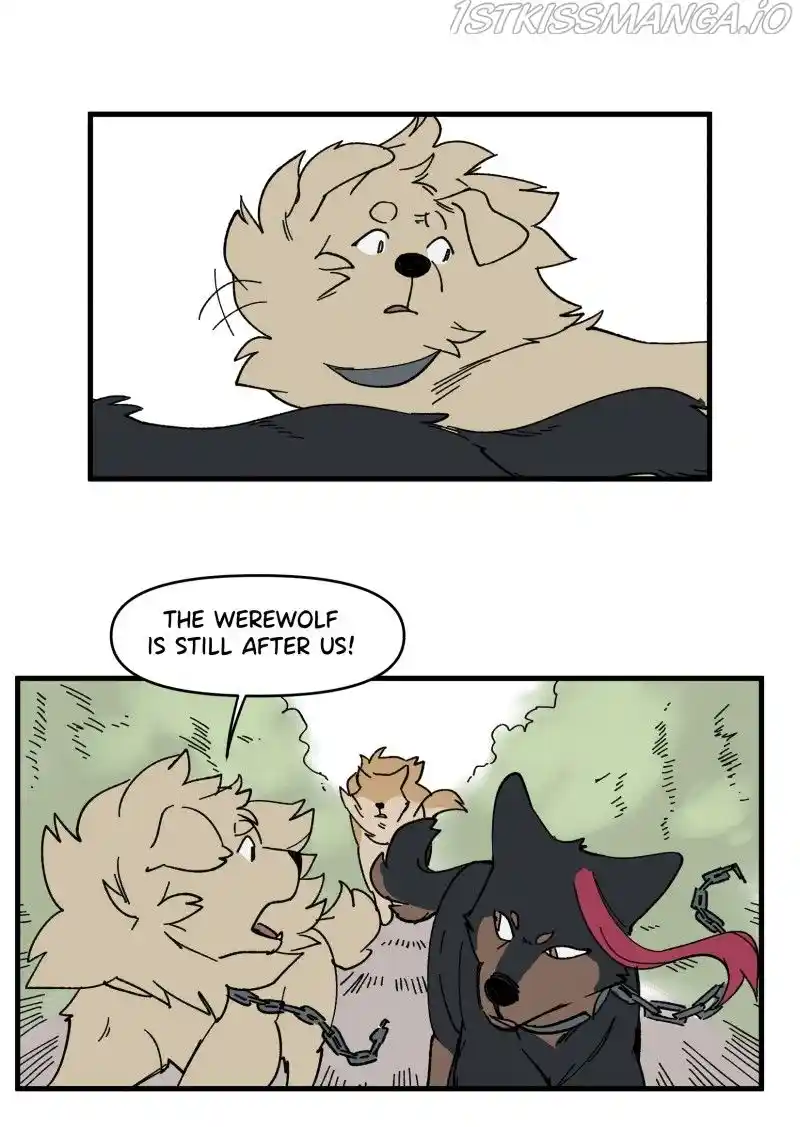 Read LUMINE Manga Online