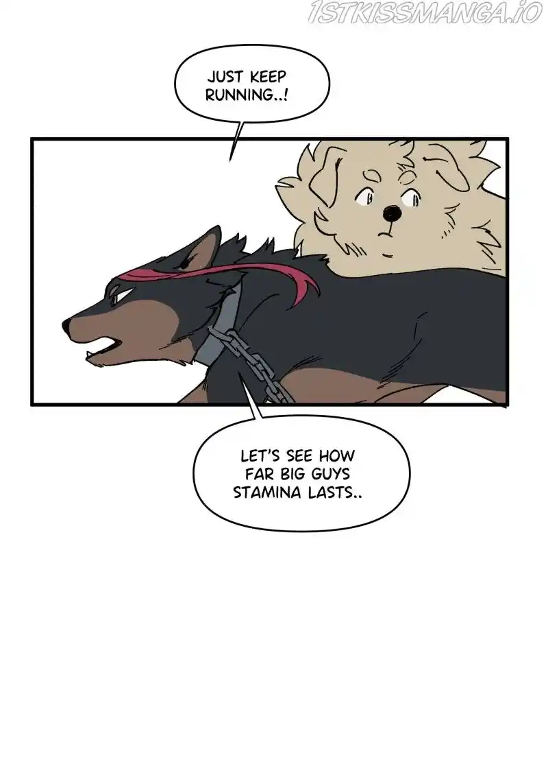 Read LUMINE Manga Online